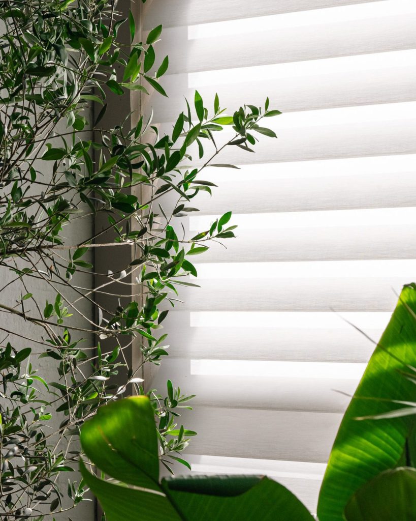 cortina silhouette de hunter douglas